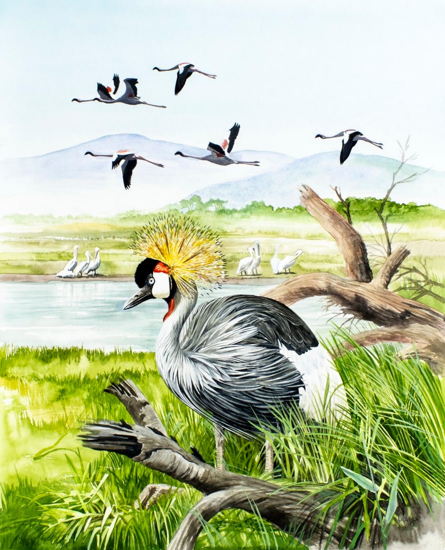Pal Varga (Hungary,1937-?) watercolor painting: ARTIST: Pal Varga (Hungarian, 1937 - ???) TITLE: Malawi Birds (titled on verso) YEAR: 1995 MEDIUM: watercolor on heavy paper CONDITION: One small tear to