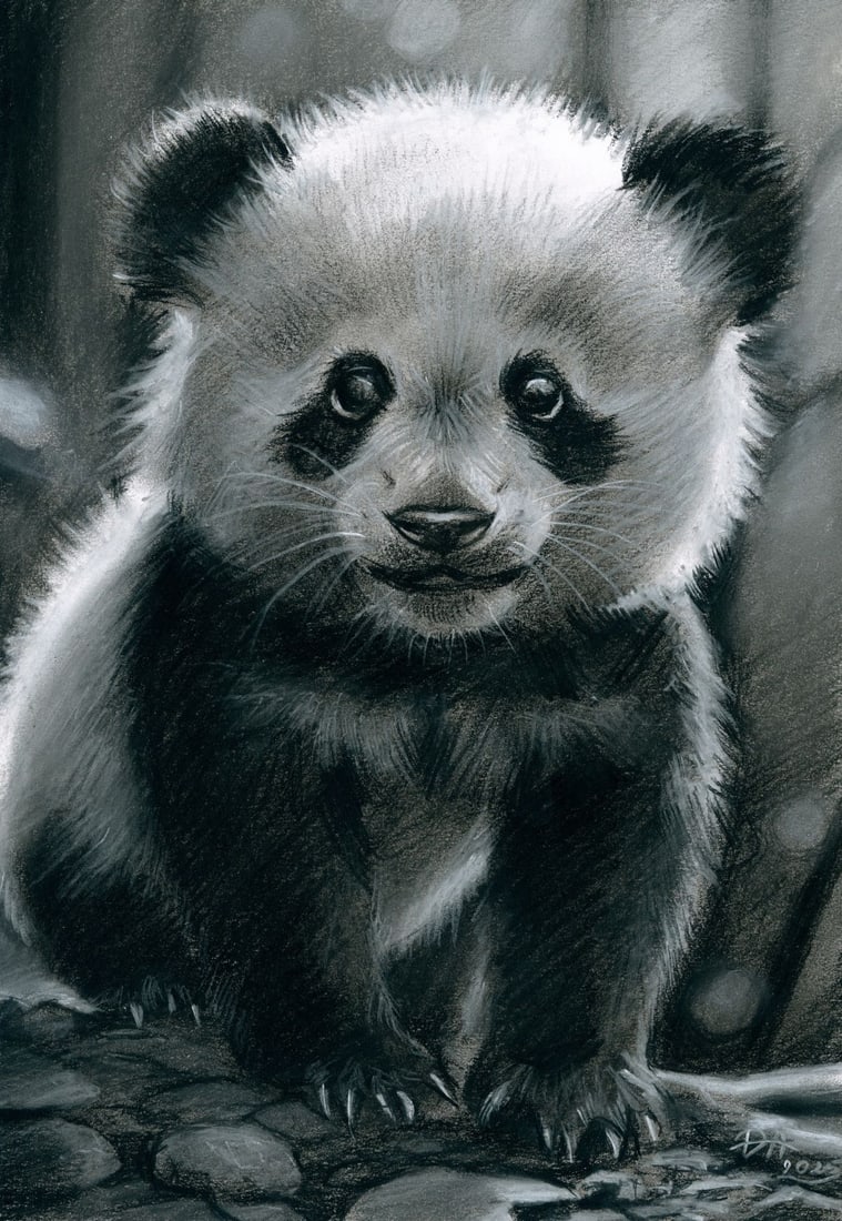 Olena Dmytrazh (Ukraine,b 1989) pastel painting: ARTIST: Olena Dmytrazh (Ukrainian, born 1989) TITLE: Panda MEDIUM: pastel on heavy paper CONDITION: Very good. ART SIZE: 12 x 8 inches / 30 x 20 cm