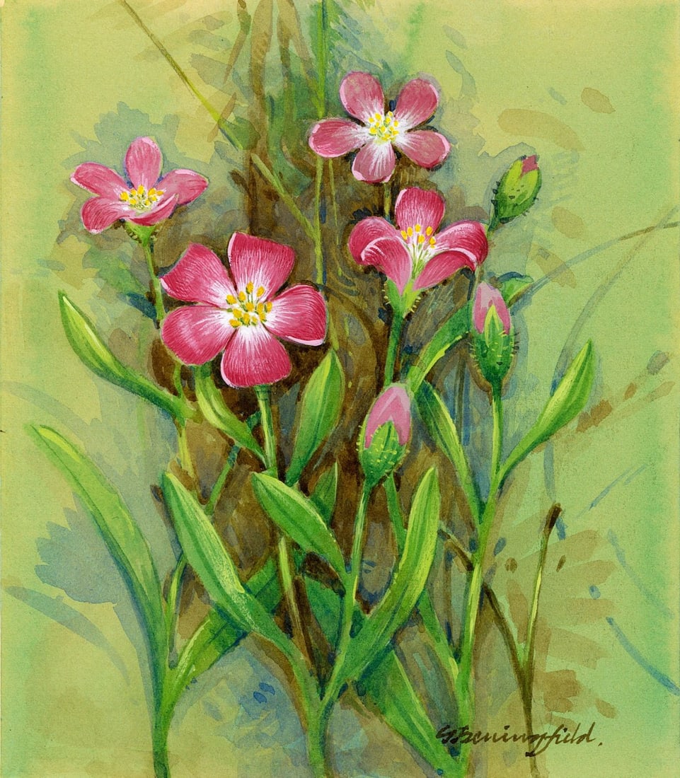 Gordon Beningfield (UK,1936-1998) gouache painting (1 of 13)