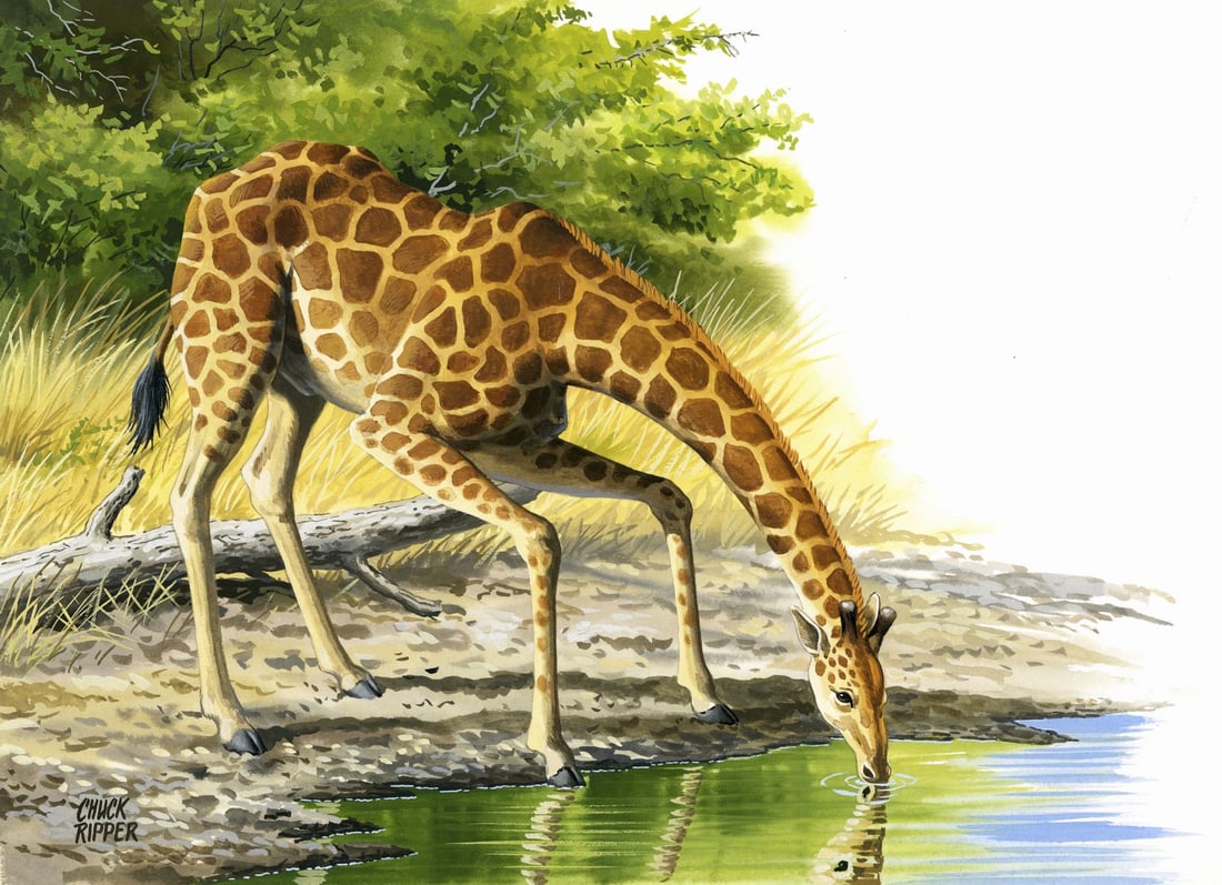 Chuck Ripper (WV,PA,1929-2019) gouache painting (1 of 12)