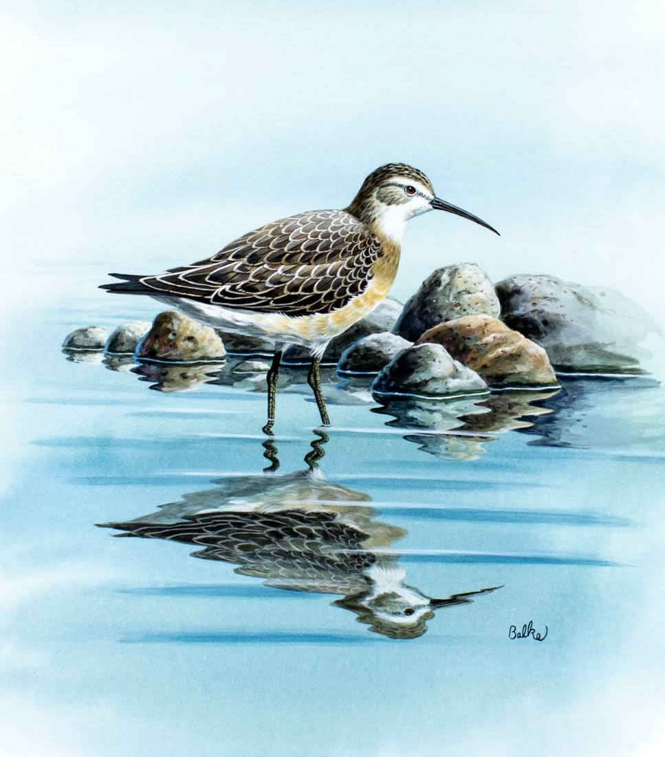 Don Balke (NC,1933-?) gouache painting (1 of 13)