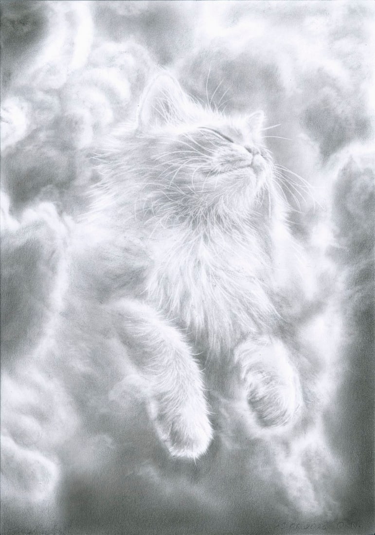 Olga Novostavskaya (Ukraine,b 1967) dry brush oil painting: ARTIST: Olga Novostavskaya (Ukraine, born 1967) TITLE: Cat Cloud MEDIUM: dry brush oil on paper CONDITION: Very good. ART SIZE: 12 x 8 inches / 30 x 20 c