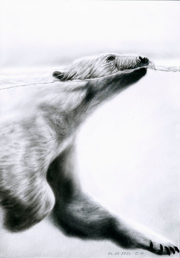 Olga Novostavskaya (Ukraine,b 1967) dry brush oil painting (1 of 12)