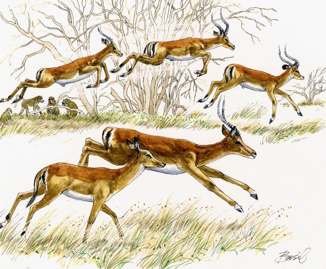 Basil Smith (UK,1925-2010) watercolor painting (1 of 13)