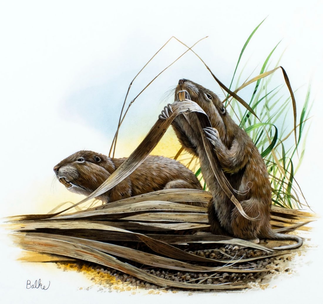 Don Balke (NC,1933-?) gouache painting (1 of 13)