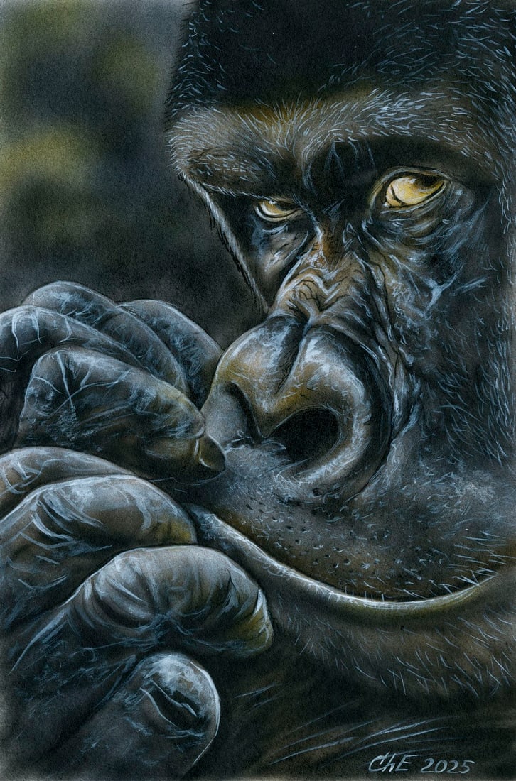 Evgeniy Chunikhin (Ukraine,b 1976) acrylic painting: ARTIST: Evgeniy Chunikhin (Ukraine, born 1976) TITLE: Gorilla MEDIUM: acrylic on heavy paper CONDITION: Very good. ART SIZE: 12 x 8 inches / 30 x 20 cm