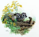 Don Balke (NC,1933-?) gouache painting