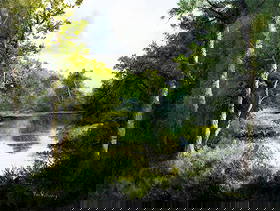 Ron Williams (TN,1947-2016) oil painting: ARTIST: Ron Williams (Tennessee, 1947 - 2016) TITLE: Forest Lake Landscape MEDIUM: oil on canvas CONDITION: Very good. No visible inpaint under UV light. Normal wear along