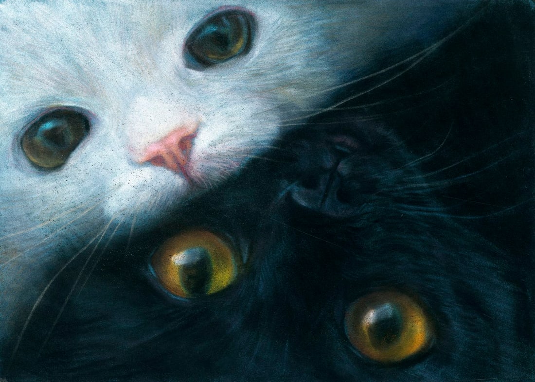 Julia Kirillova (Ukraine,b 1991) pastel painting (1 of 12)