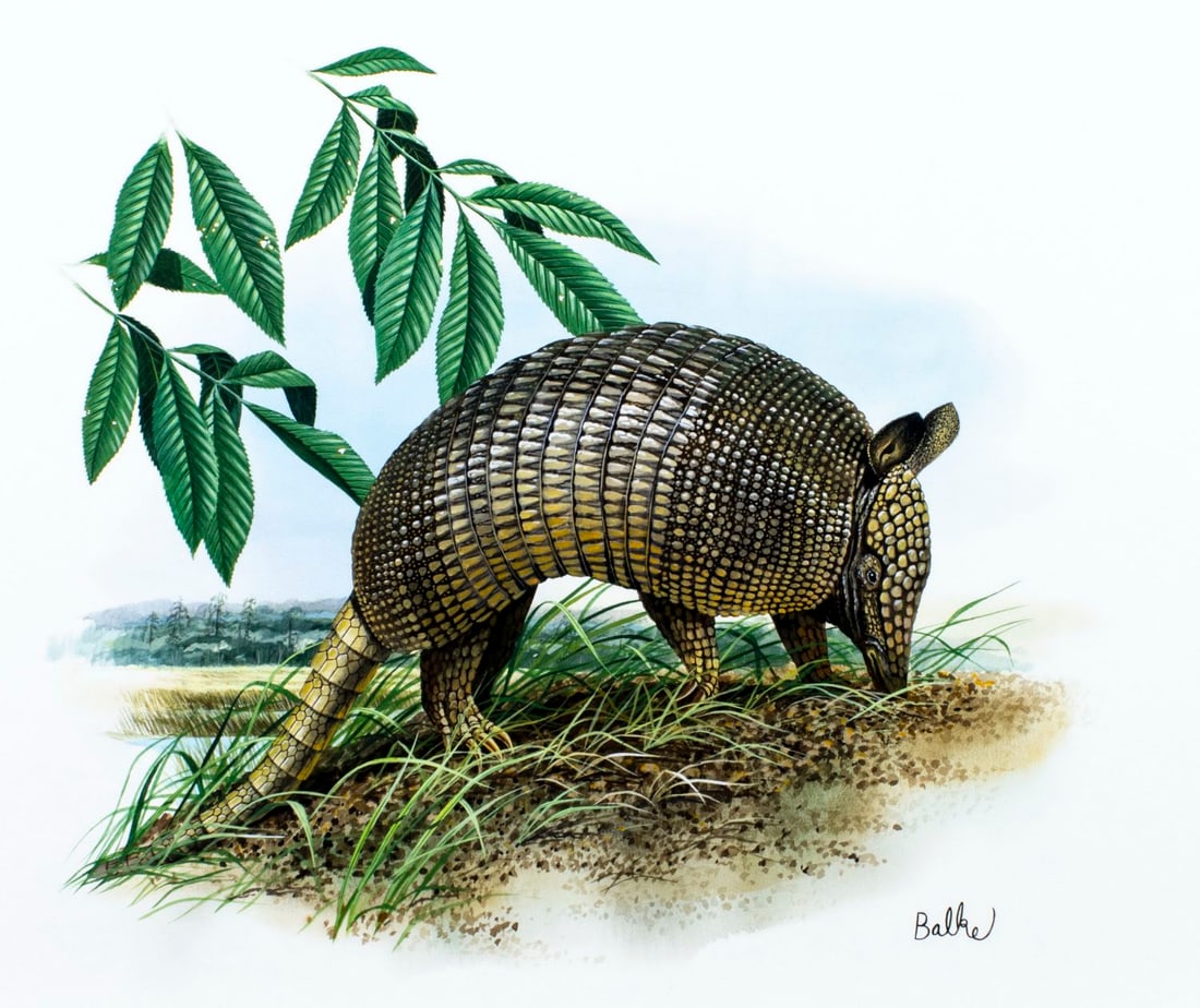 Don Balke (NC,1933-?) gouache painting (1 of 14)