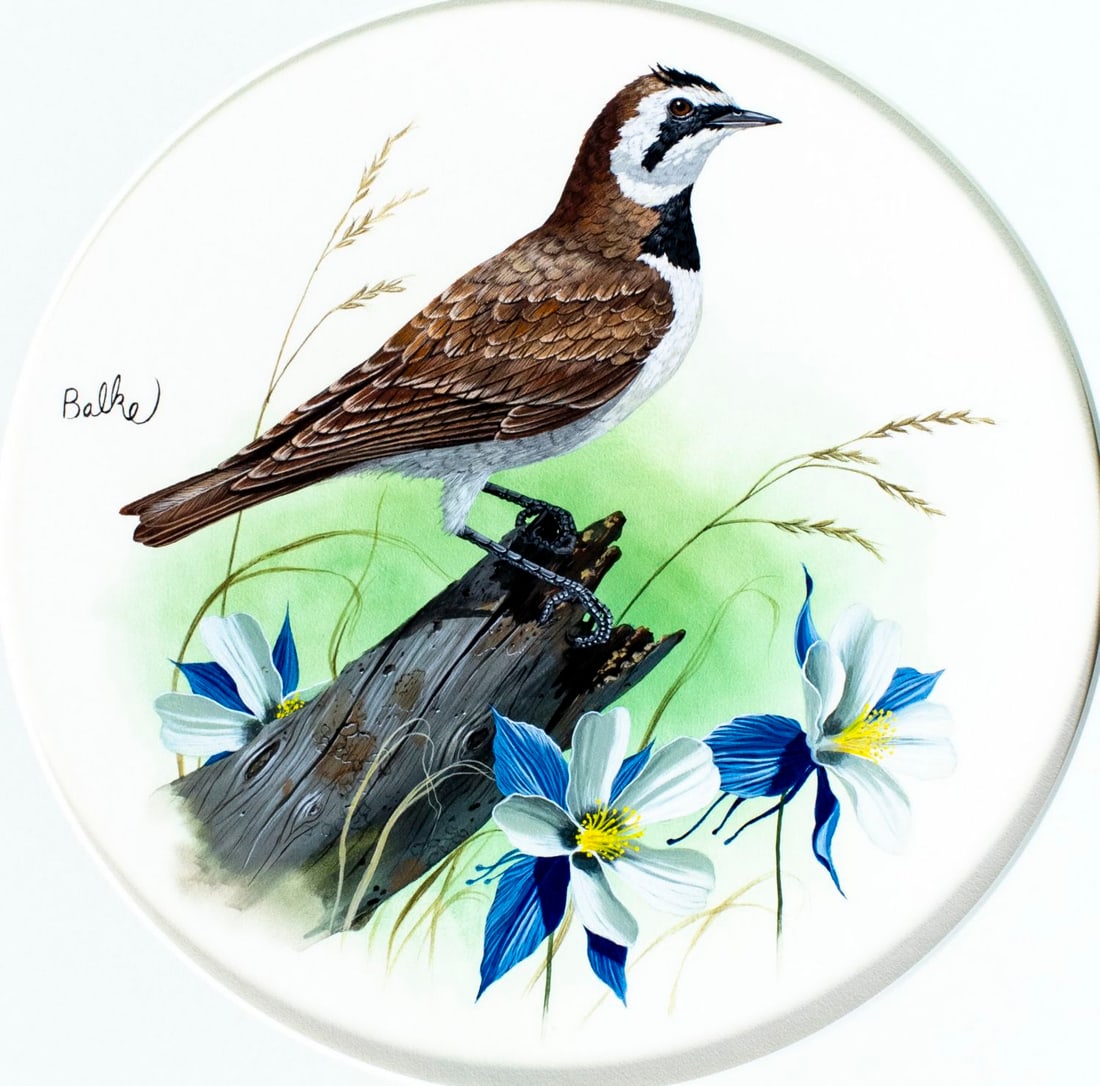 Don Balke (NC,1933-?) gouache painting: ARTIST: Don Balke (North Carolina, 1933 - ???) TITLE: Horned Lark Bird, Idaho (titled on verso) YEAR: 1981 MEDIUM: gouache and watercolor on board CONDITION:</