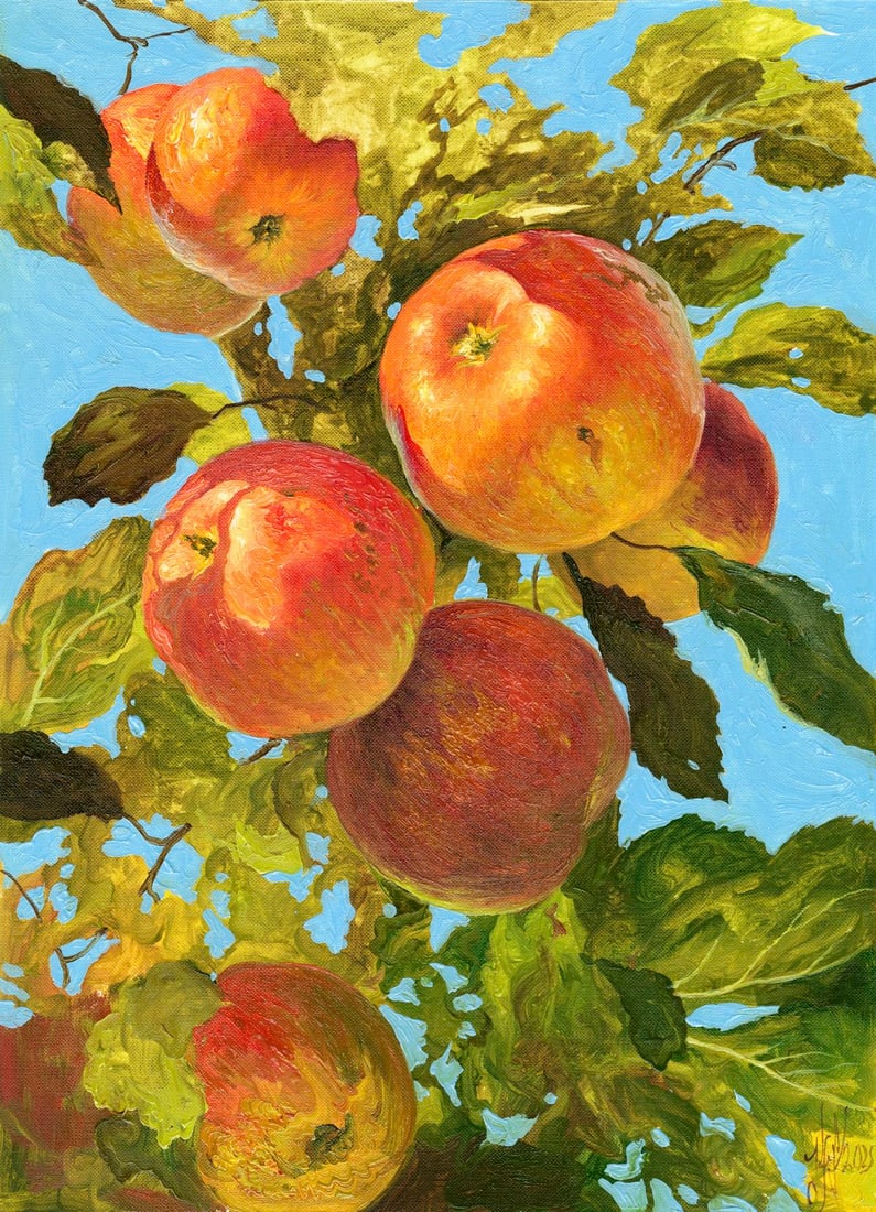 Yuri Klapoukh (Ukraine,b 1963) oil painting: ARTIST: Yuri Klapoukh (Ukrainian, born 1963) TITLE: Apples on Branch (titled on verso) MEDIUM: oil on heavy paper CONDITION: Very good. No visible inpaint under UV light. ART SIZE: 16 x 12 inches /