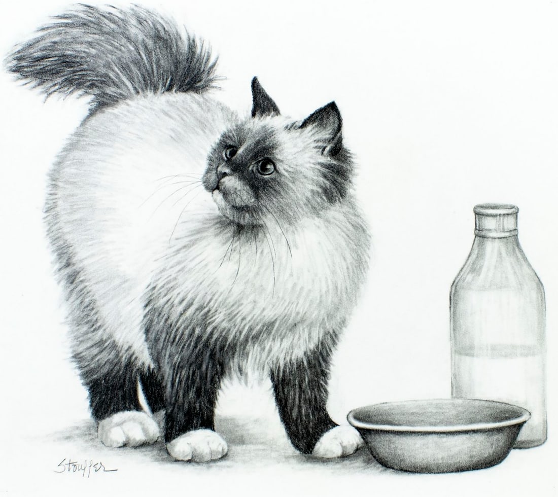 Stephanie Stouffer (VT,20/21C) graphite painting: ARTIST: Stephanie Stouffer (Vermont, 20/21 centuries) TITLE: Birma Cat (titled on verso) YEAR: 1979 MEDIUM: graphite on board CONDITION: Minor damages to