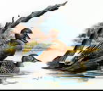 Don Balke (NC,1933-?) gouache painting