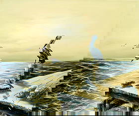 W Dawson (US,20C) oil painting: ARTIST: W Dawson (American, 20 century) TITLE: Seascape with Pelicans MEDIUM: oil on canvas CONDITION: Few small paint losses along edges. Some craquelure. No visible inpain