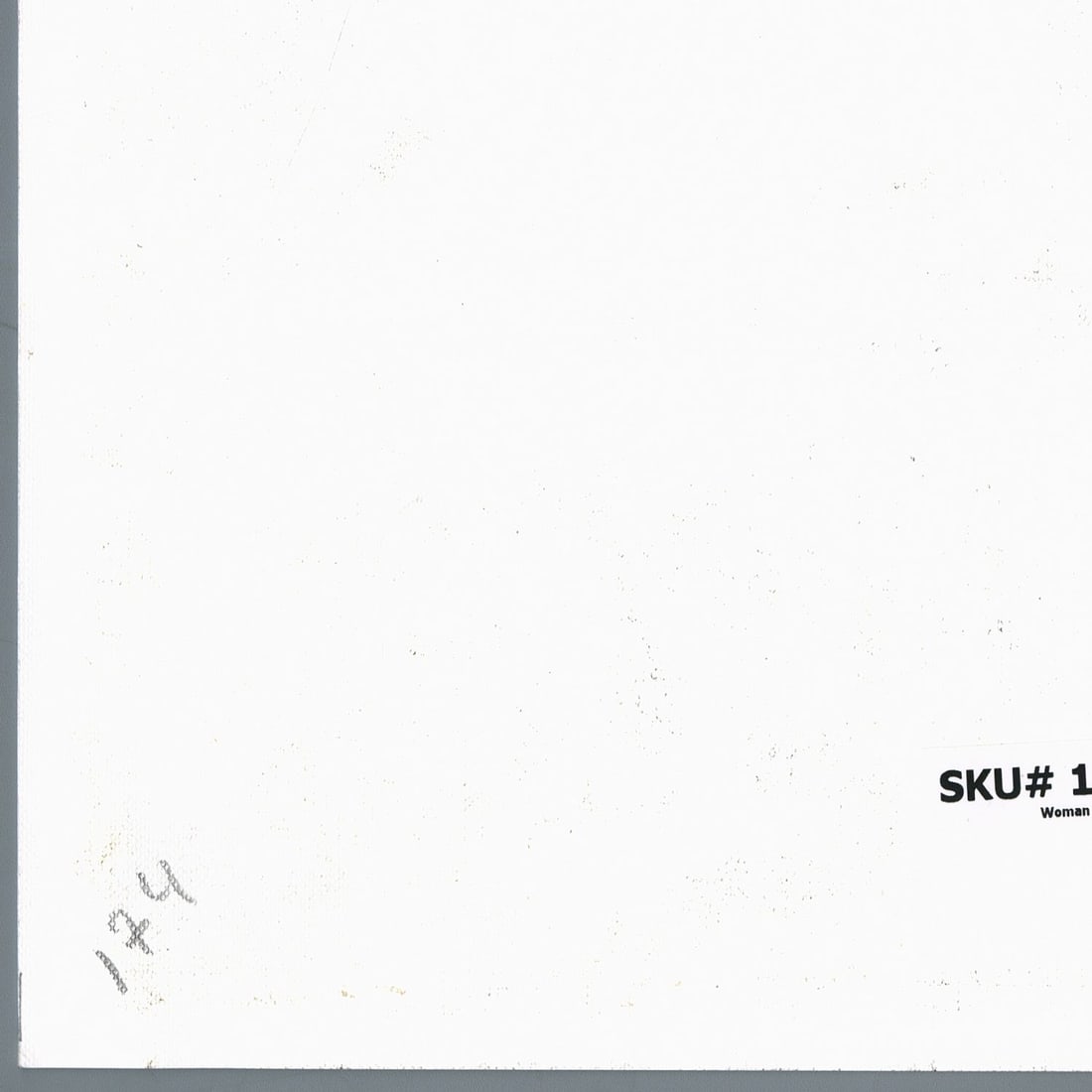 Anna Shariha (Ukraine,b 1998) oil painting - 12