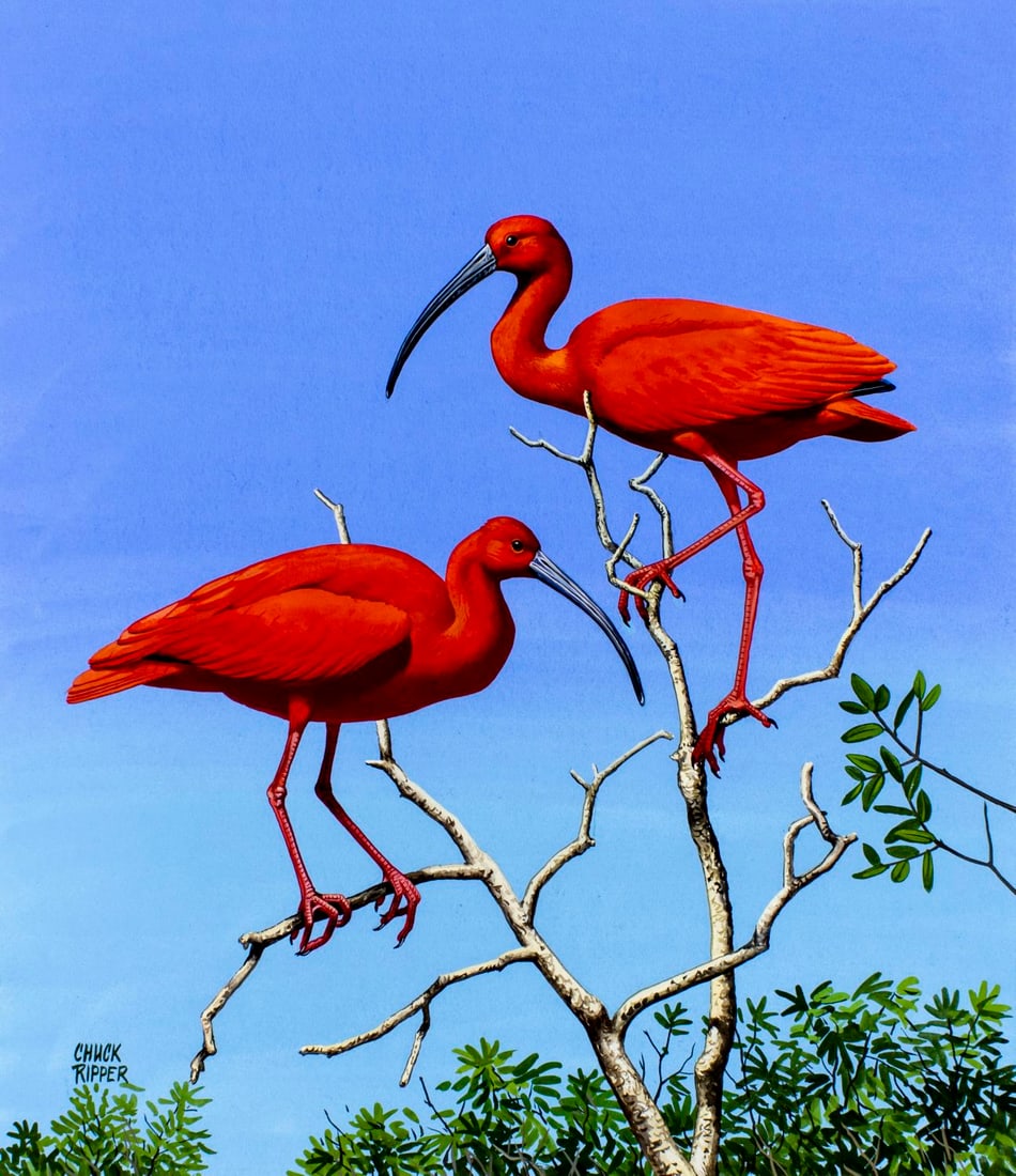 Chuck Ripper (WV,PA,1929-2019) gouache painting (1 of 13)