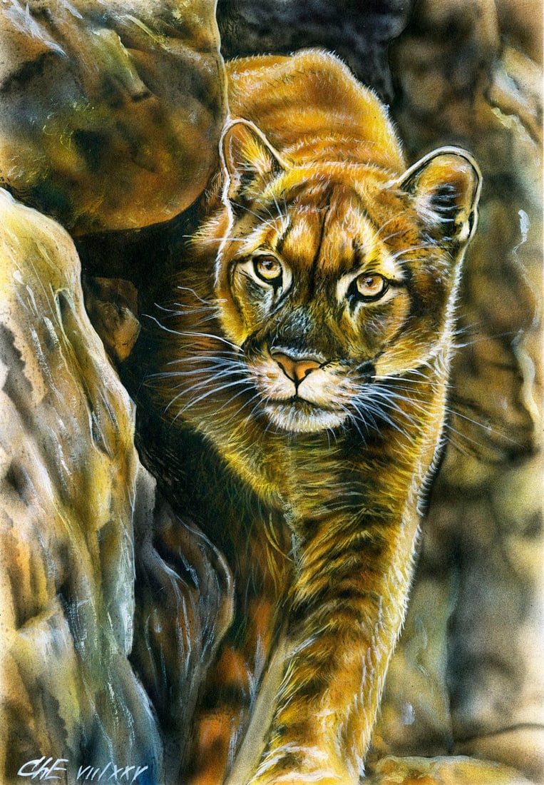 Evgeniy Chunikhin (Ukraine,b 1976) oil painting (1 of 11)