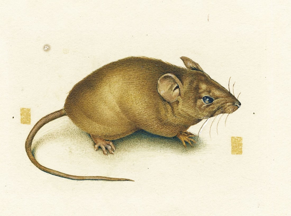 Alex Gnidziejko (NJ,ME,1943-2024) gouache painting (1 of 11)