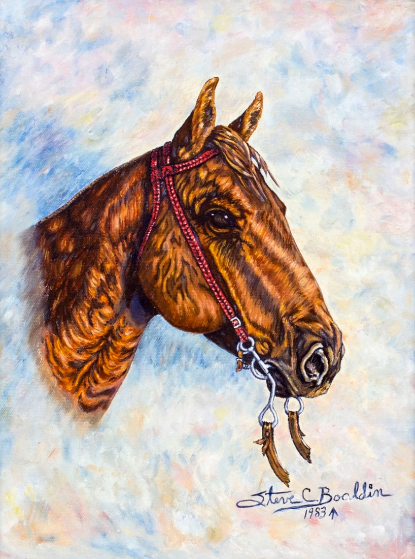 Steve C Boaldin (OK,KS,20/21C) oil painting (1 of 12)