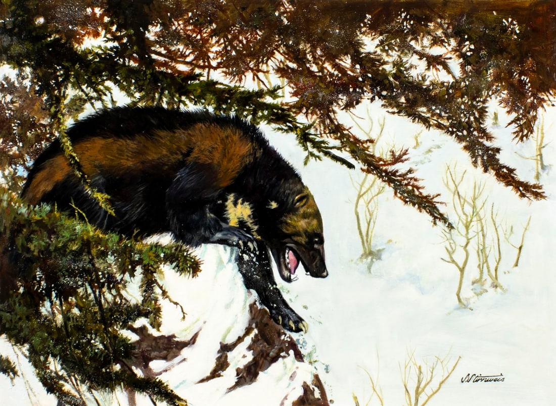 Shannon Stirnweis (AZ,NY,NH,OR,1931-2019) oil painting: ARTIST: Shannon Stirnweis (Arizona, New York, New Hampshire, Oregon, 1931 - 2019) TITLE: Wolverine (titled on verso) YEAR: 1986 MEDIUM: oil on board CONDITION:<