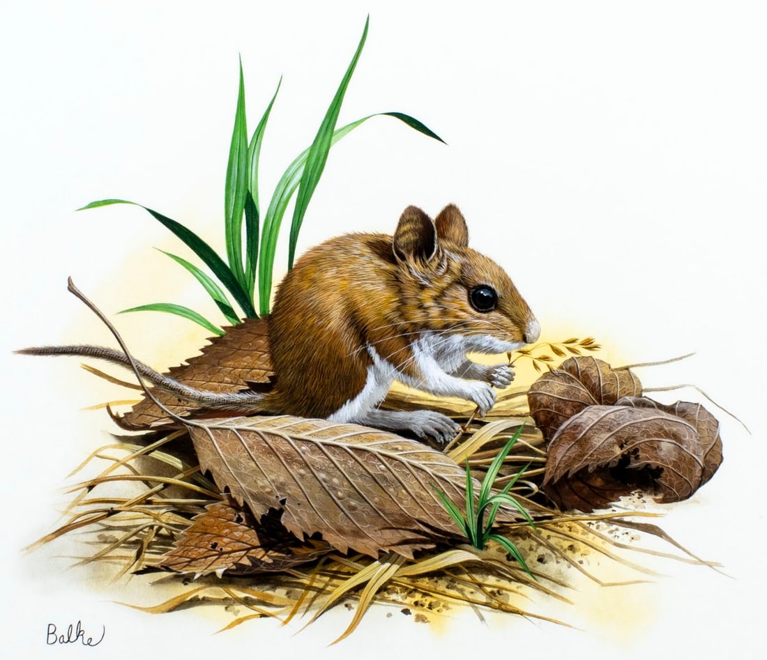 Don Balke (NC,1933-?) gouache painting (1 of 14)