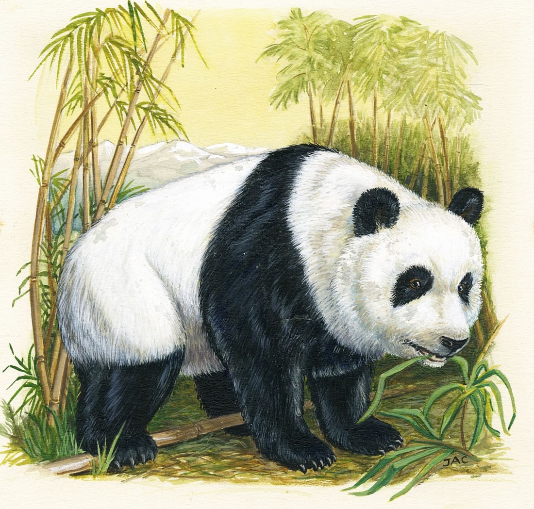 Vintage mid 20C American gouache painting (1 of 12)