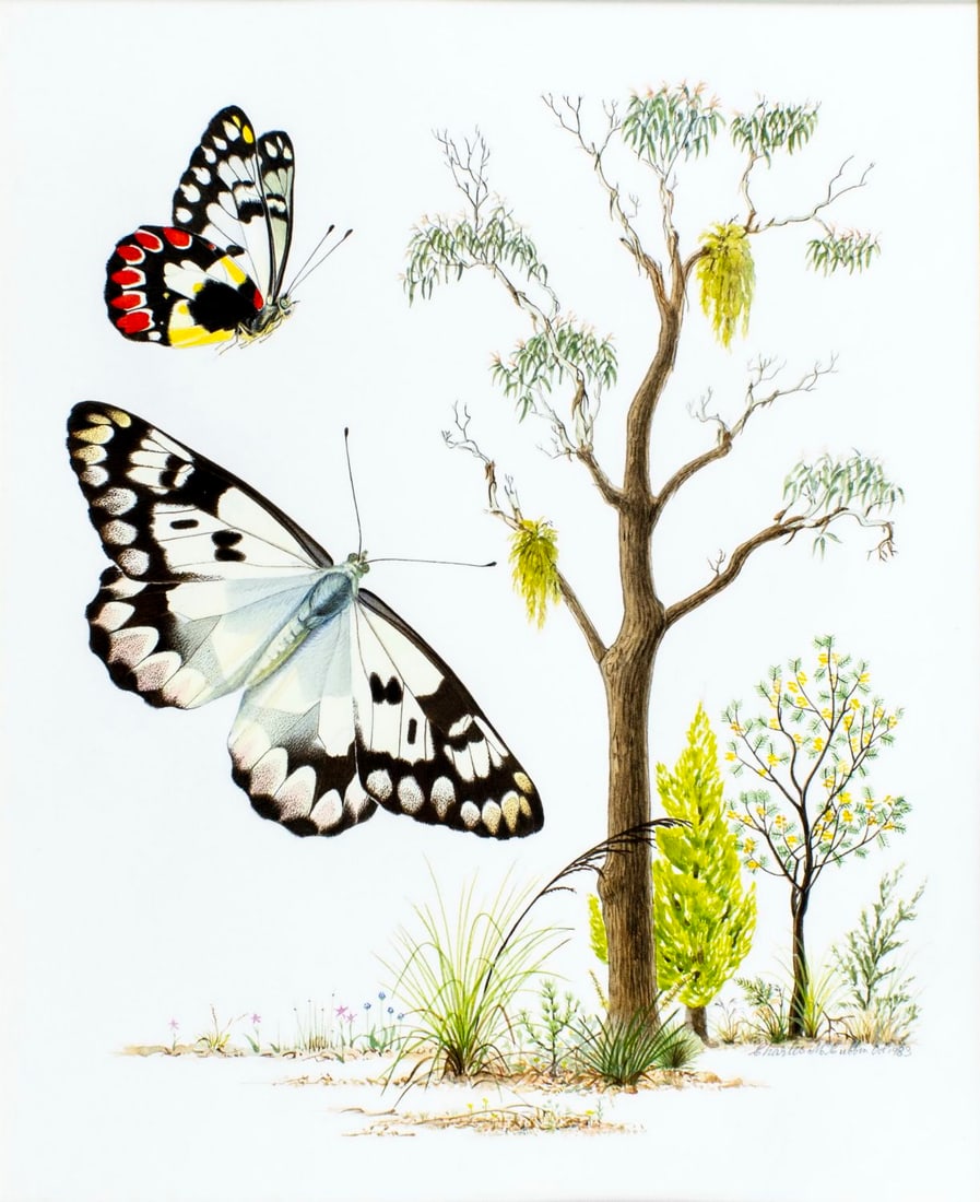 Charles Frederick McCubbin (Australia,1930-2010) watercolor painting (1 of 14)