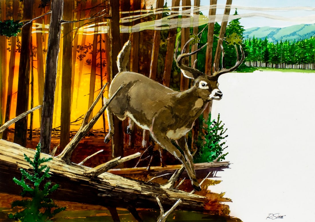 Dick Simms (US,1932-?) watercolor painting: ARTIST: Dick Simms (American, 1932 - ???) TITLE: Deer - Smokey the Bear (titled on verso) YEAR: 1984 MEDIUM: watercolor on board CONDITION: Very good. ART SIZE: 12 x 16 inches / 30 x 40 cm BOARD