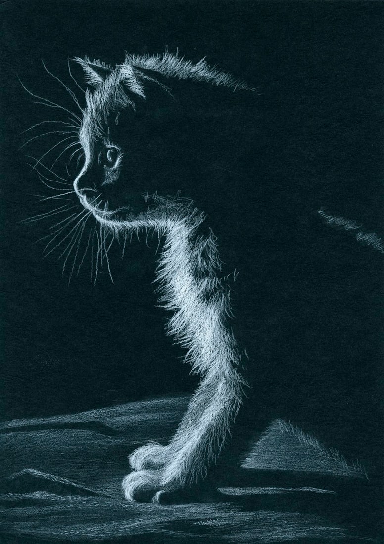 Anna Tetragon (Ukraine,20/21C) pastel painting: ARTIST: Anna Tetragon (Ukraine, 20/21 centuries) TITLE: Cat MEDIUM: pastel on heavy paper CONDITION: Very good. ART SIZE: 17 x 12 inches / 43 x 30 cm FRAME SIZE: unframed (In-House framing available)