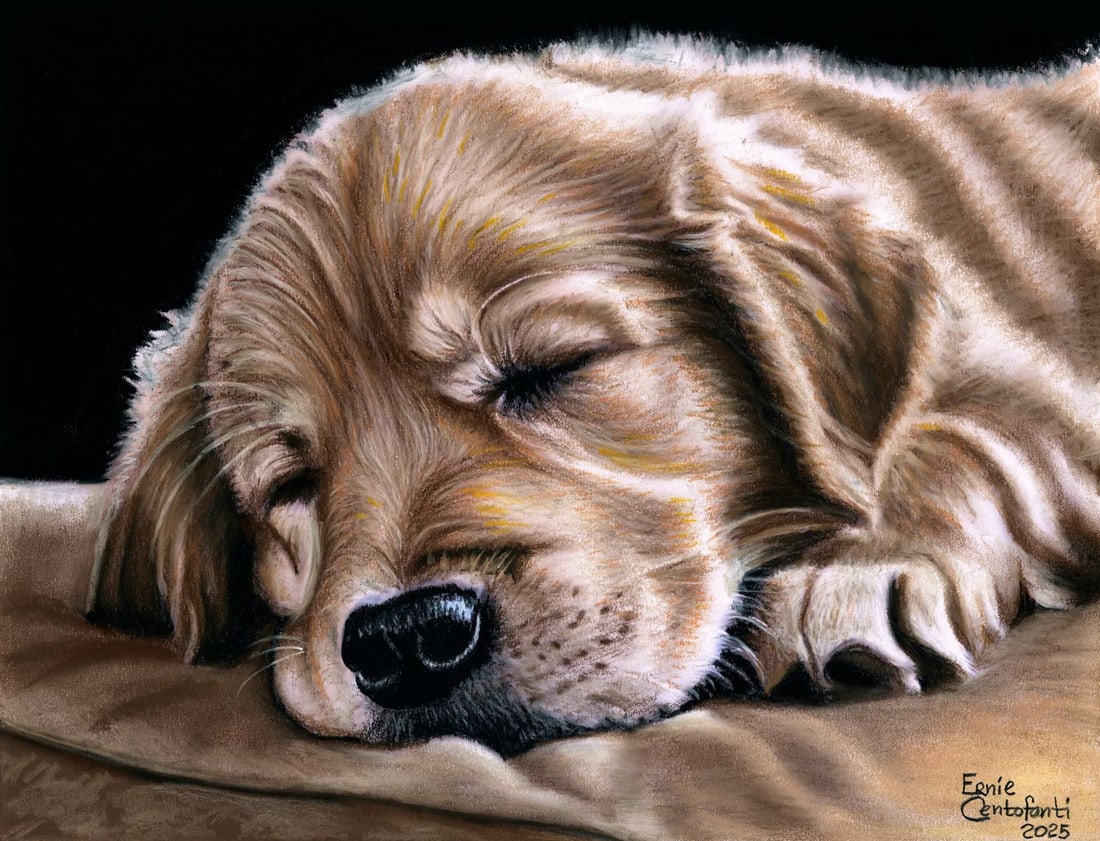 Ernie Centofanti (CA,b 1956) pastel painting (1 of 12)