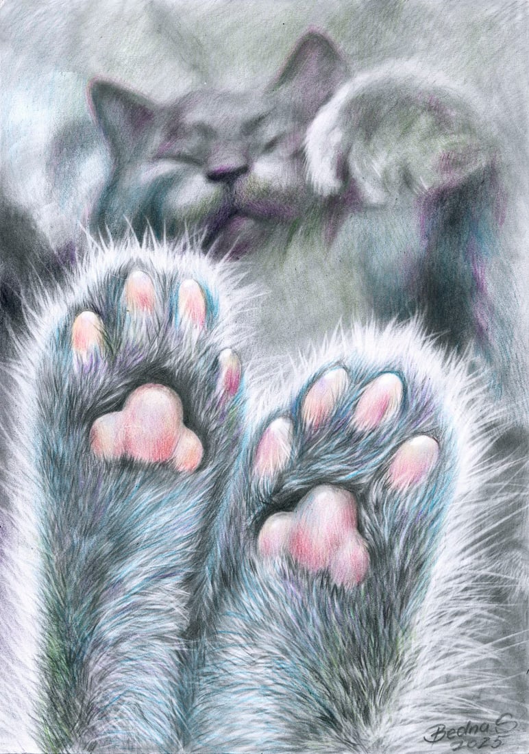 Svetlana Bedna (Ukraine,b 1982) colored pencil painting (1 of 12)