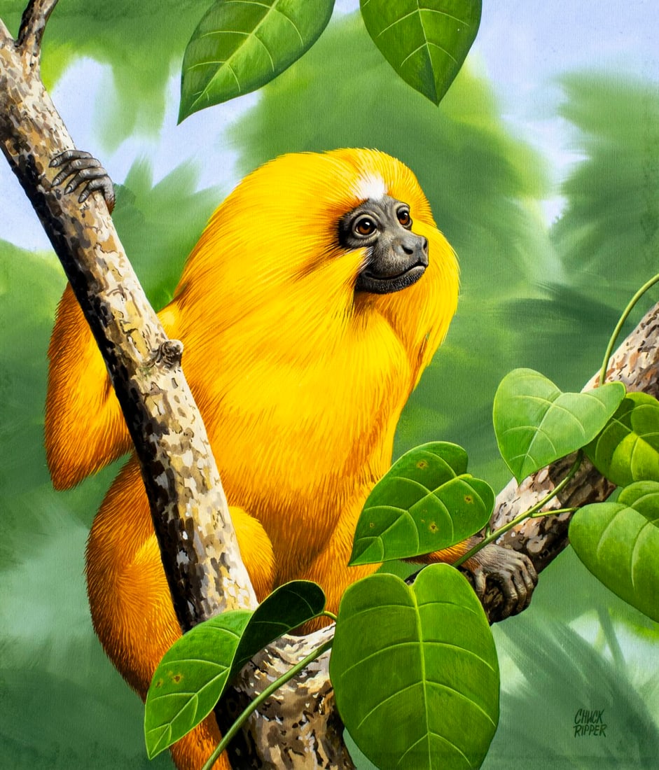 Chuck Ripper (WV,PA,1929-2019) gouache painting (1 of 13)