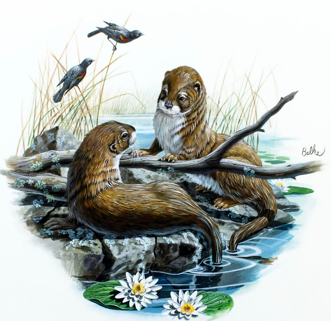 Don Balke (NC,1933-?) gouache painting: ARTIST: Don Balke (North Carolina, 1933 - ???) TITLE: Otters (titled on verso) YEAR: 1983 MEDIUM: gouache and watercolor on board CONDITION: Overall g