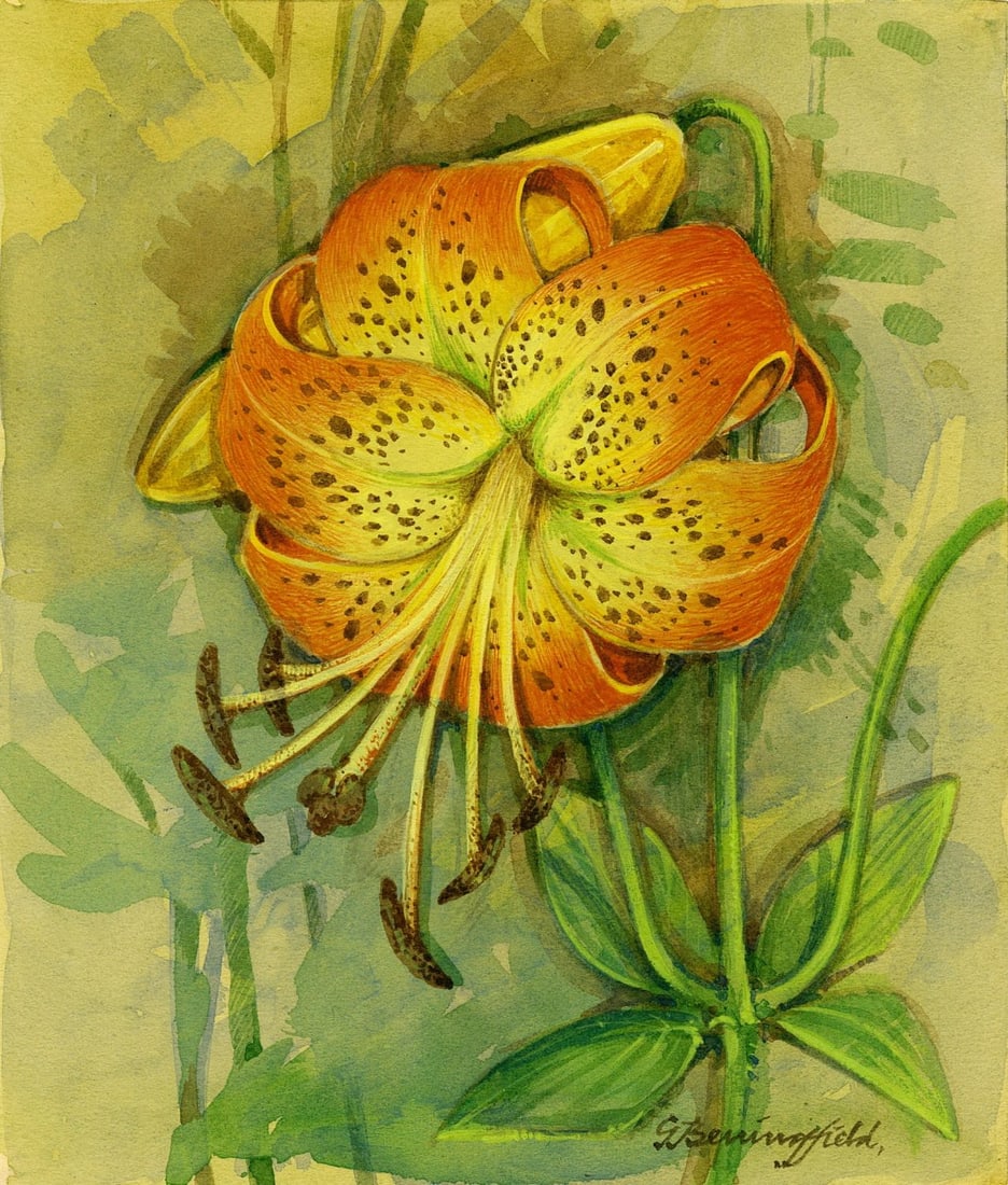 Gordon Beningfield (UK,1936-1998) gouache painting (1 of 13)