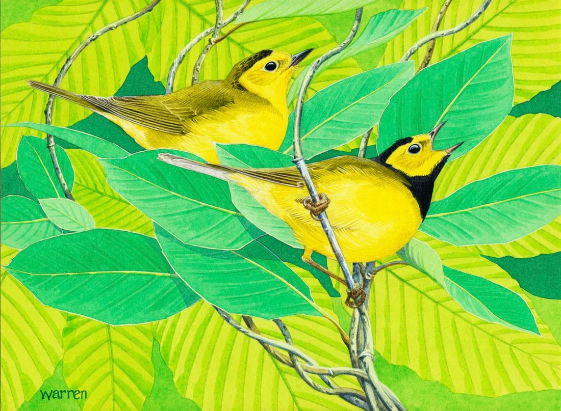 Michael Warren (UK,1938-?) watercolor painting (1 of 12)