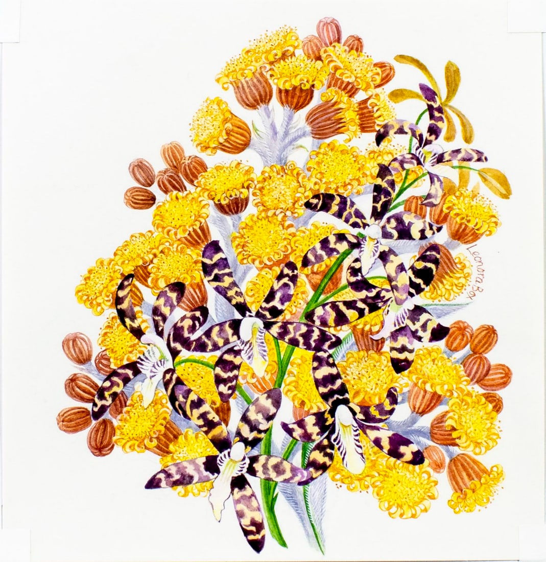 Leonora Box (UK,1936-?) watercolor painting (1 of 13)