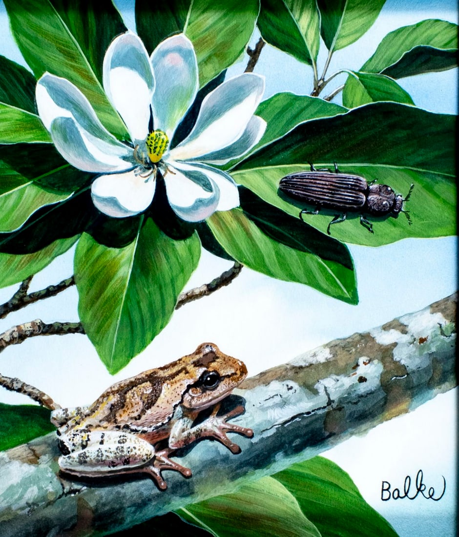 Don Balke (NC,1933-?) gouache painting (1 of 14)