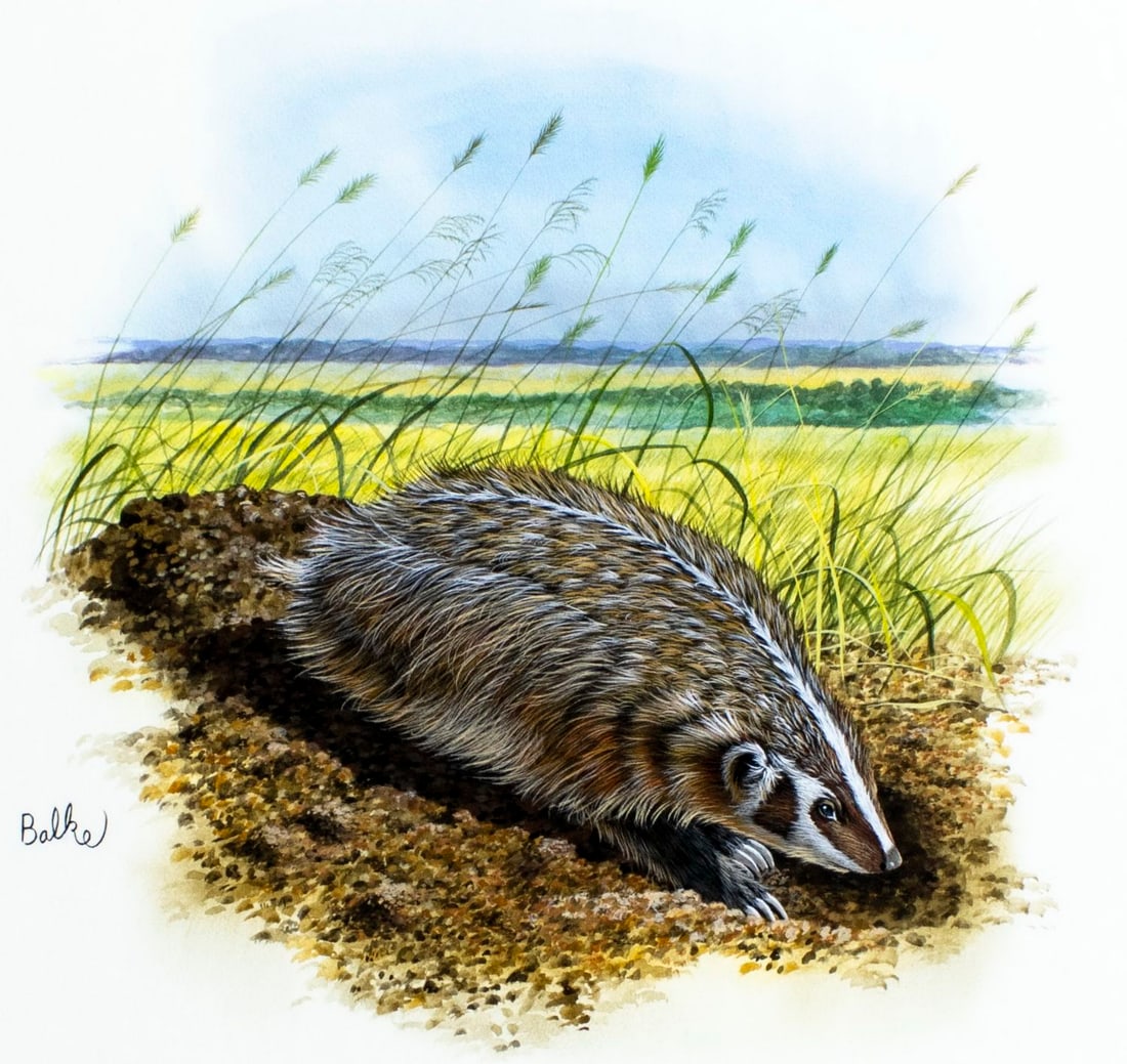 Don Balke (NC,1933-?) gouache painting (1 of 13)