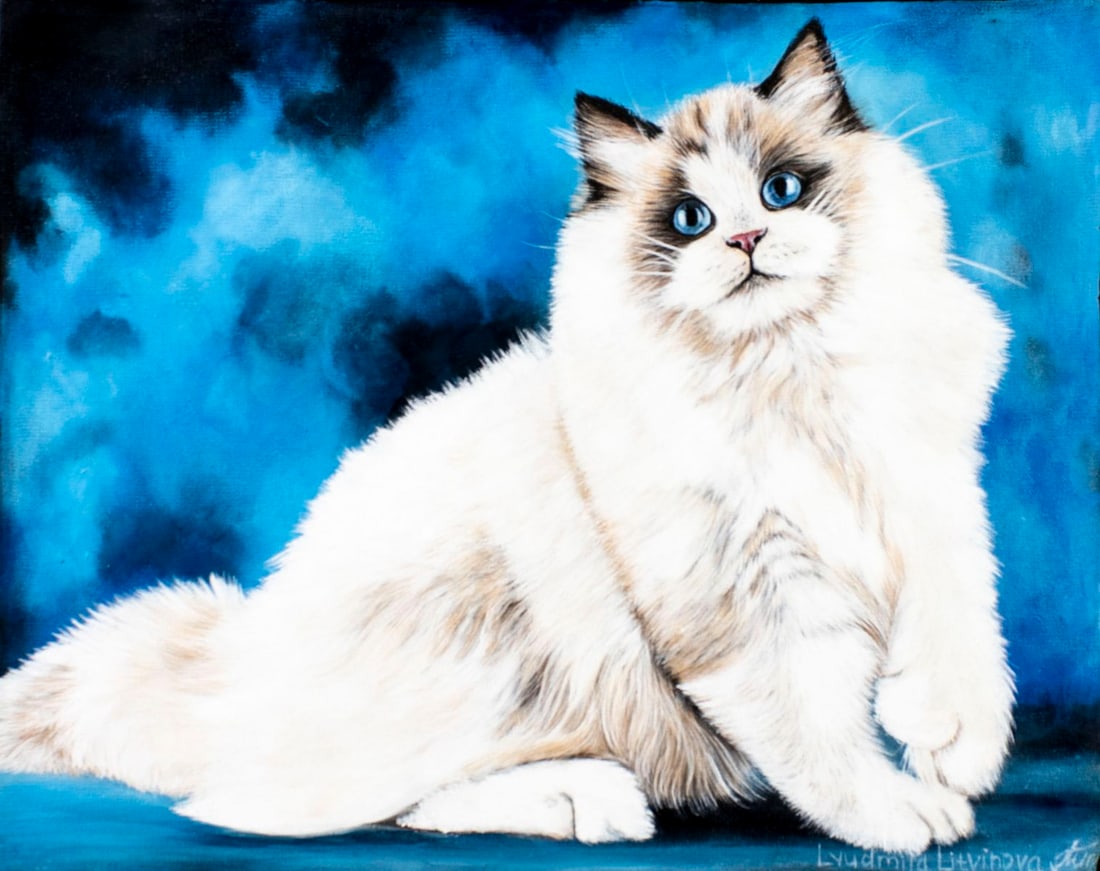 Lyudmila Litvinova (Russia,b 1991) acrylic painting: ARTIST: Lyudmila Litvinova (Russian, born 1991) TITLE: Ragdoll Cat (titled on verso) MEDIUM: acrylic on canvas CONDITION: Unstretched (In-House stretching available). Very g