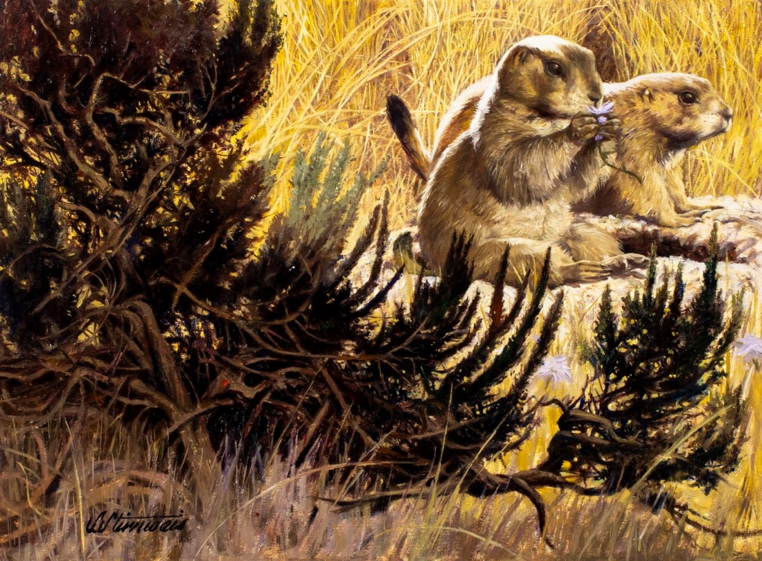 Shannon Stirnweis (AZ,NY,NH,OR,1931-2019) oil painting: ARTIST: Shannon Stirnweis (Arizona, New York, New Hampshire, Oregon, 1931 - 2019) TITLE: Prairie Dog YEAR: 1987 MEDIUM: oil on board CONDITION: Some sm