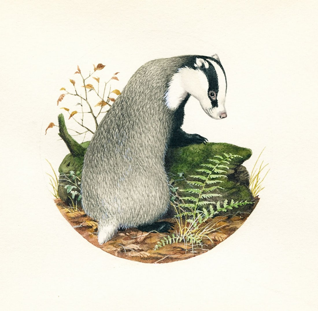 Peter Barrett (UK,1935-?) gouache painting (1 of 11)