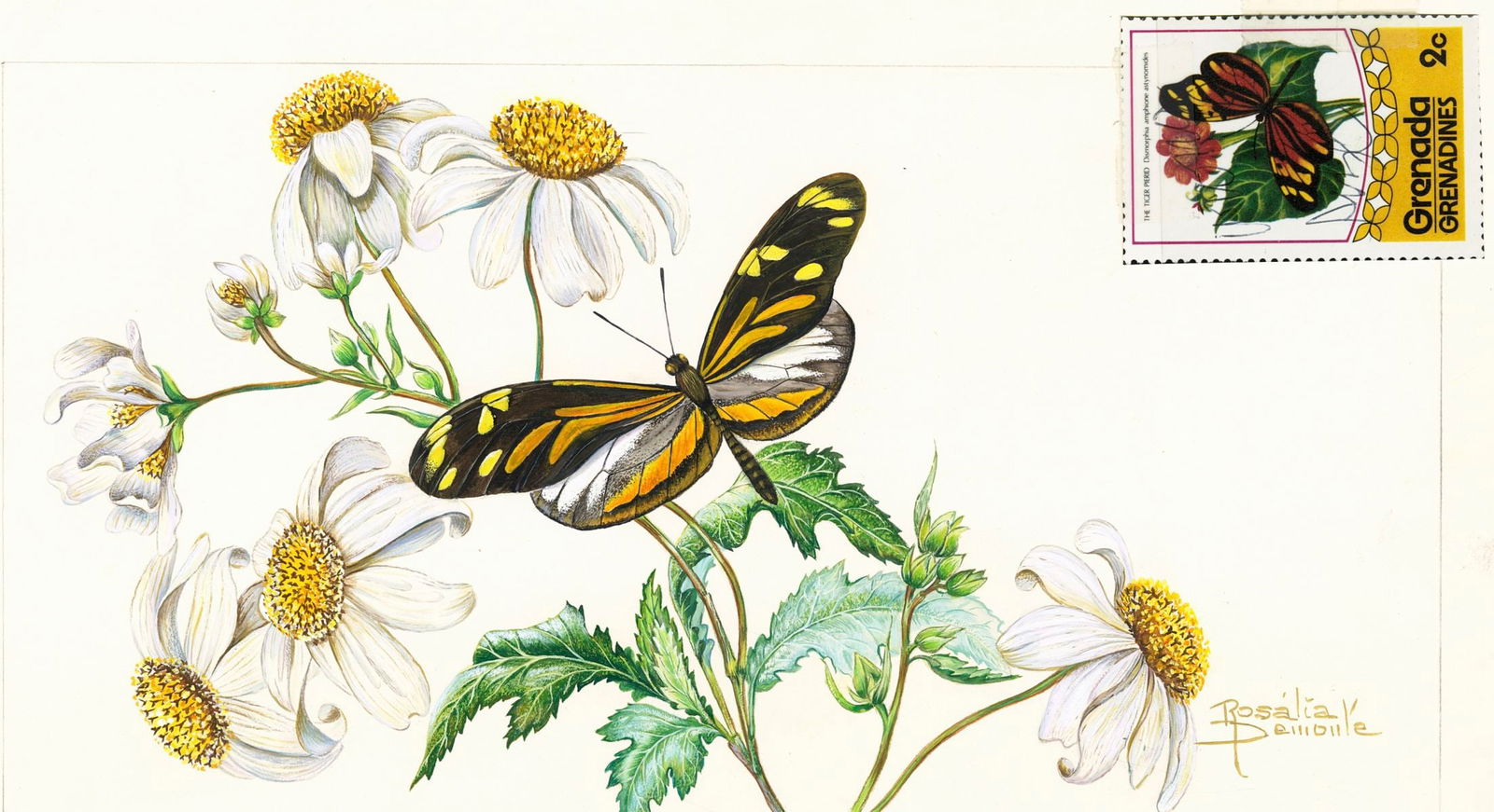 Rosalia Demonte (Brazil,1932-2009) gouache painting (1 of 12)