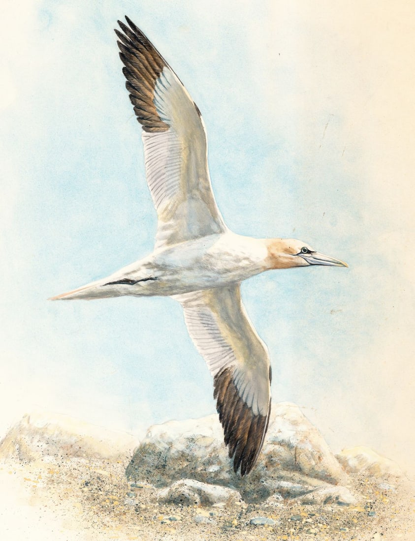 Scott Woolever (MD,20/21C) watercolor painting (1 of 12)