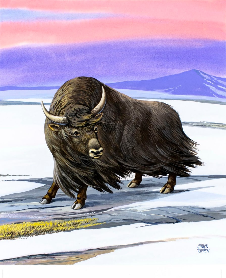 Chuck Ripper (WV,PA,1929-2019) gouache painting: ARTIST: Chuck Ripper (West Virginia, Pennsylvania, 1929 - 2019) TITLE: Wild Yak - Box Mutus (titled on verso) YEAR: 2004 MEDIUM: gouache on board CONDITION: