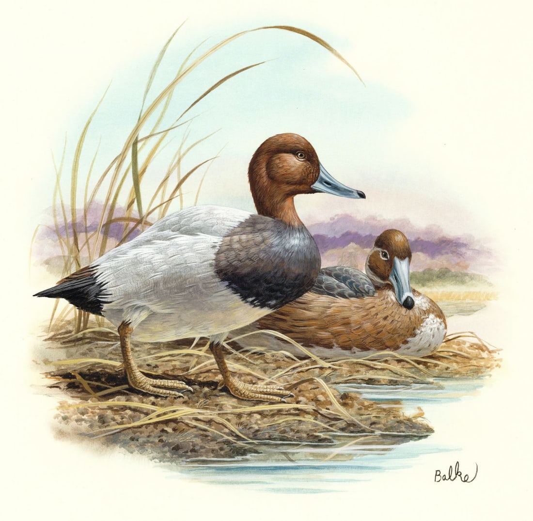 Don Balke (NC,1933-?) gouache painting (1 of 13)