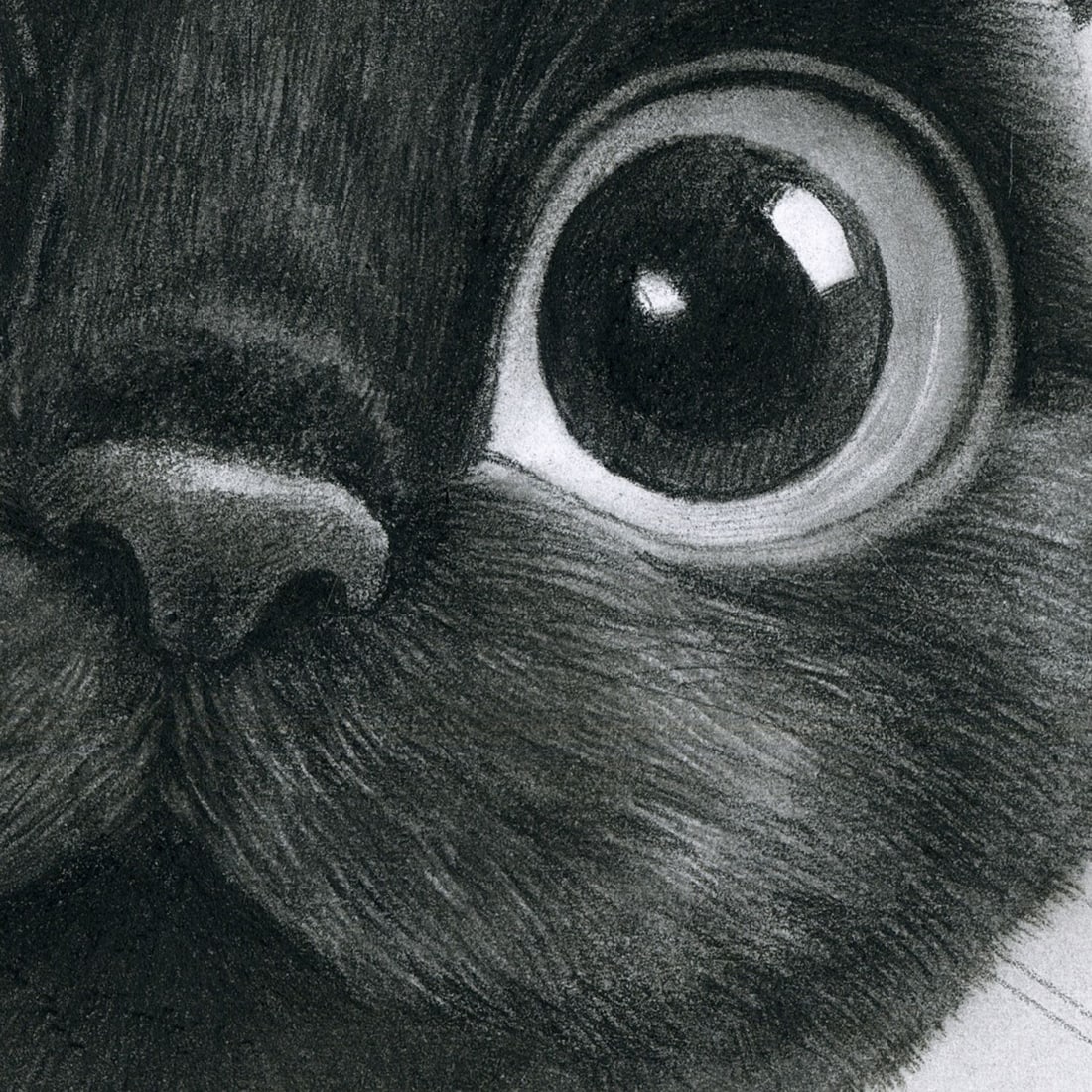 Olena Pavlova (Ukraine,20/21C) graphite painting - 7