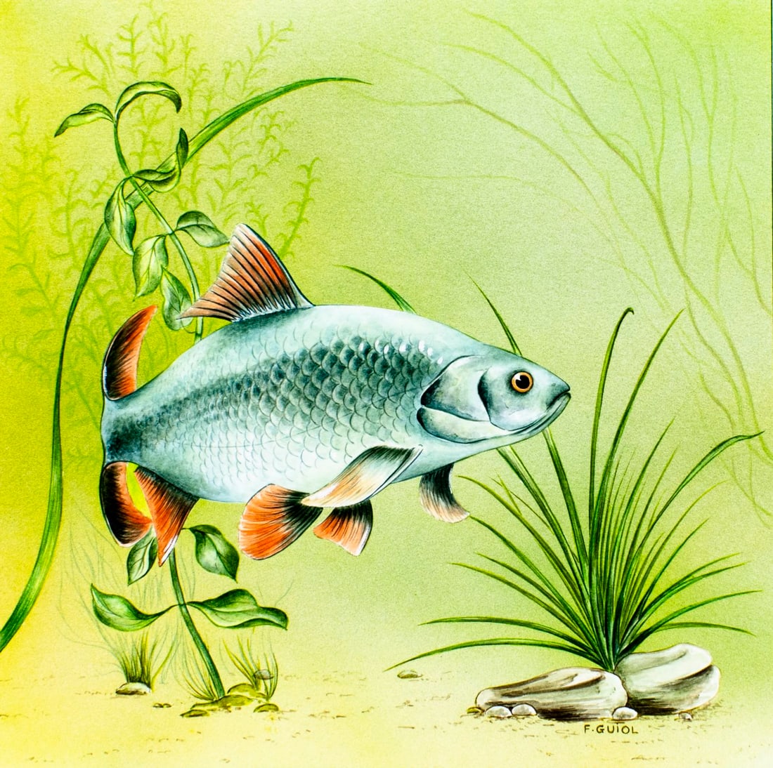 Francois Guiol (France,b 1952) watercolor painting (1 of 12)