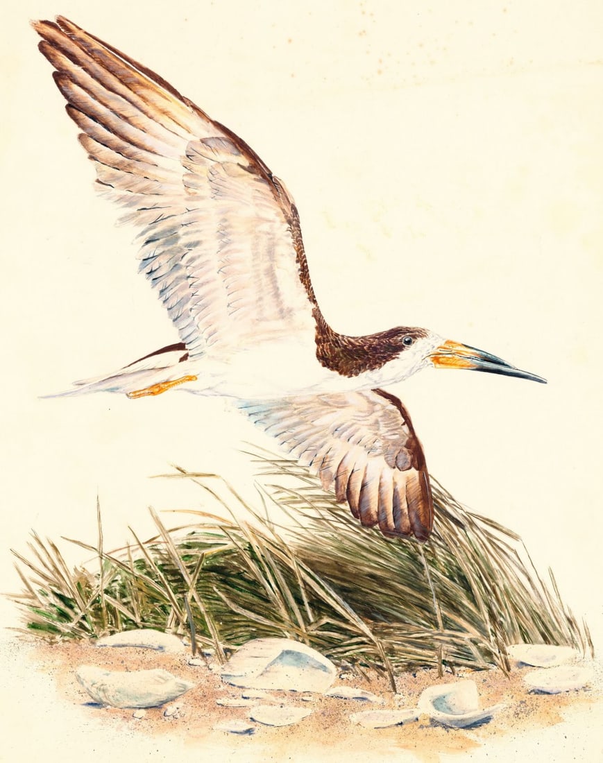 Scott Woolever (MD,20/21C) watercolor painting (1 of 11)