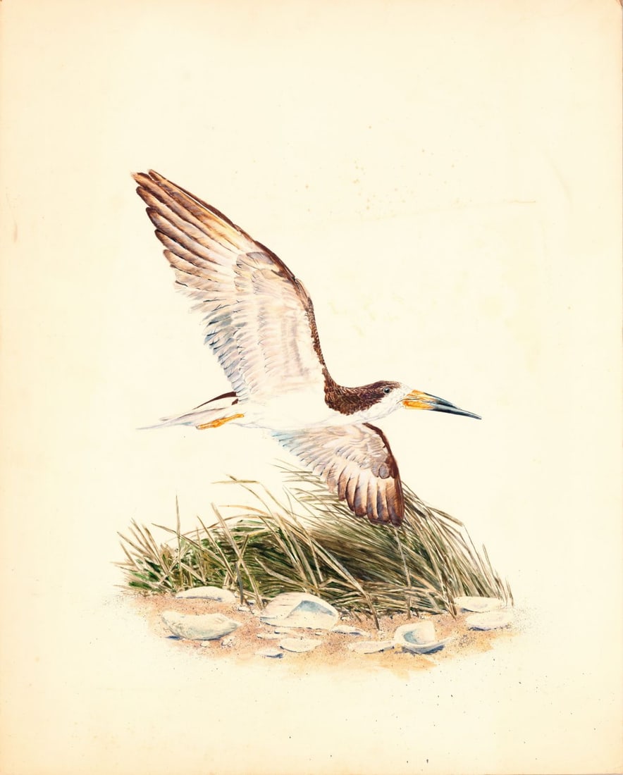 Scott Woolever (MD,20/21C) watercolor painting - 3